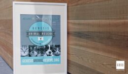 Genesis Animal Rescue - Poster
