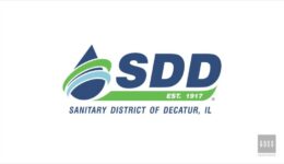 SDD Logo Design